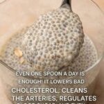 Healthy Chia Seeds Pudding Breakfast