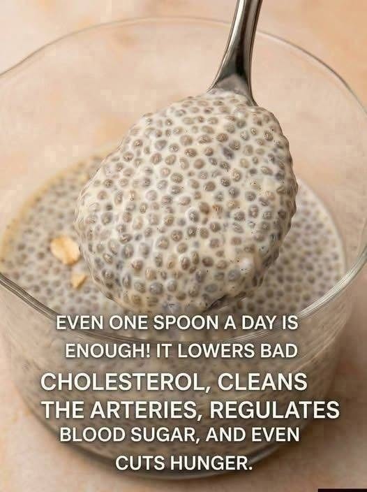 Healthy Chia Seeds Pudding Breakfast